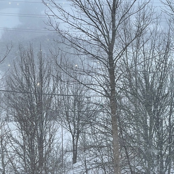 Meet your Posher, Joanne - Picture 1 of 1